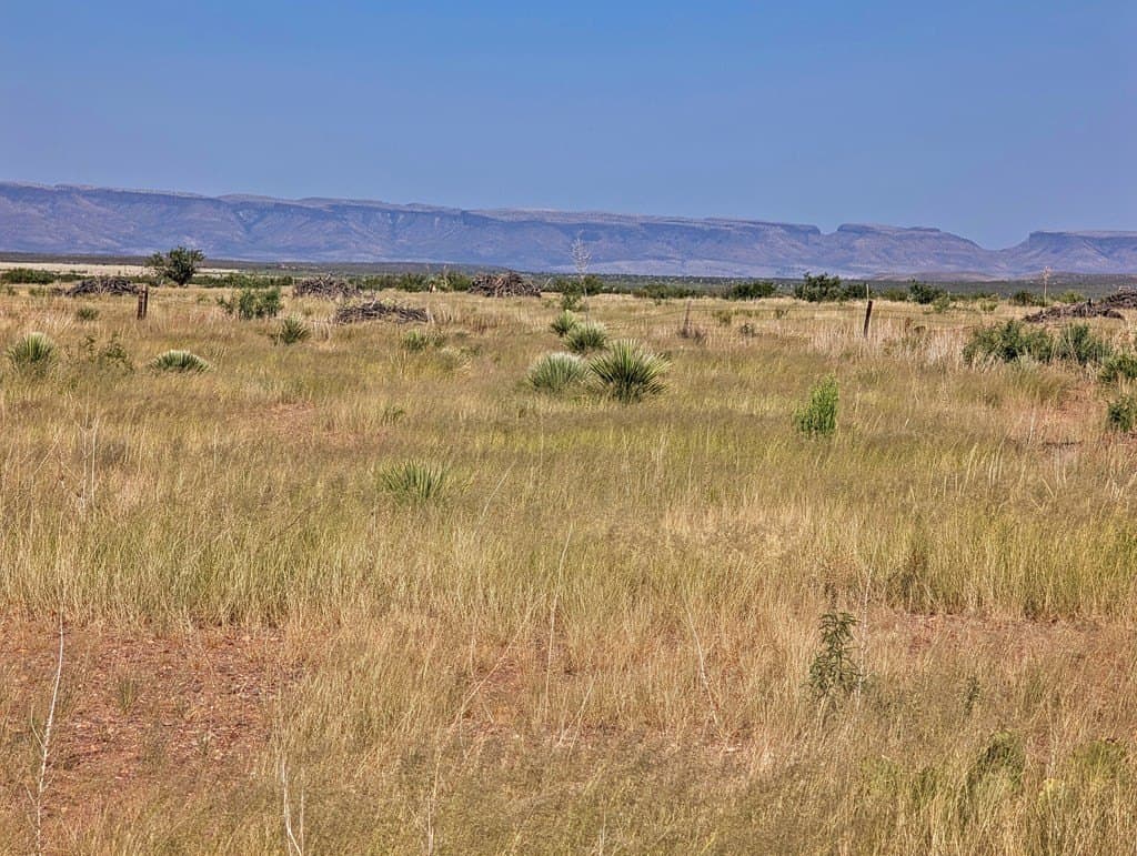 1.31 acres in Jeff Davis County - photo 8