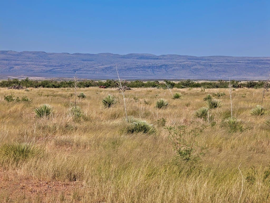 1.31 acres in Jeff Davis County - photo 7