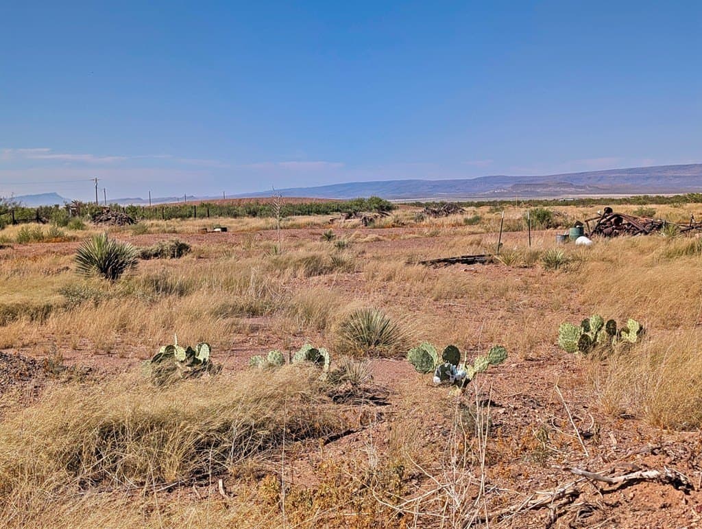 1.31 acres in Jeff Davis County - photo 5