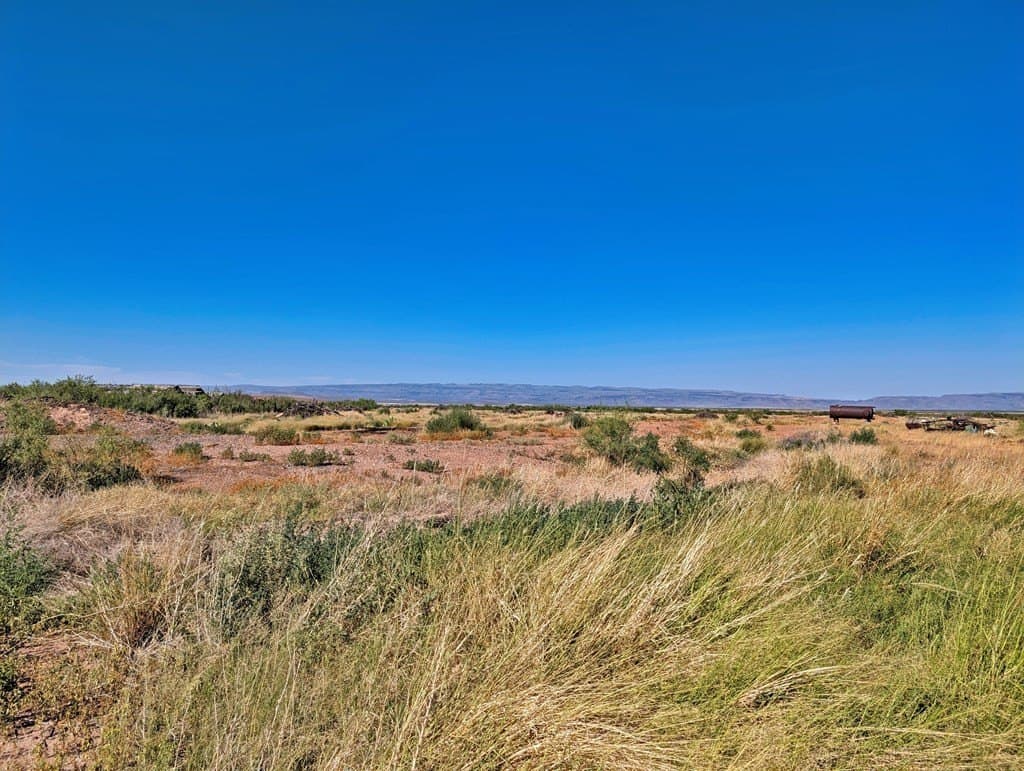 1.31 acres in Jeff Davis County - photo 9