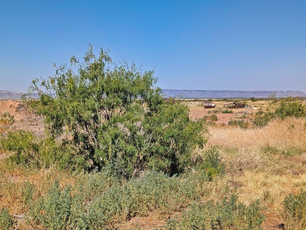 1.31 acres in Jeff Davis County - photo 12