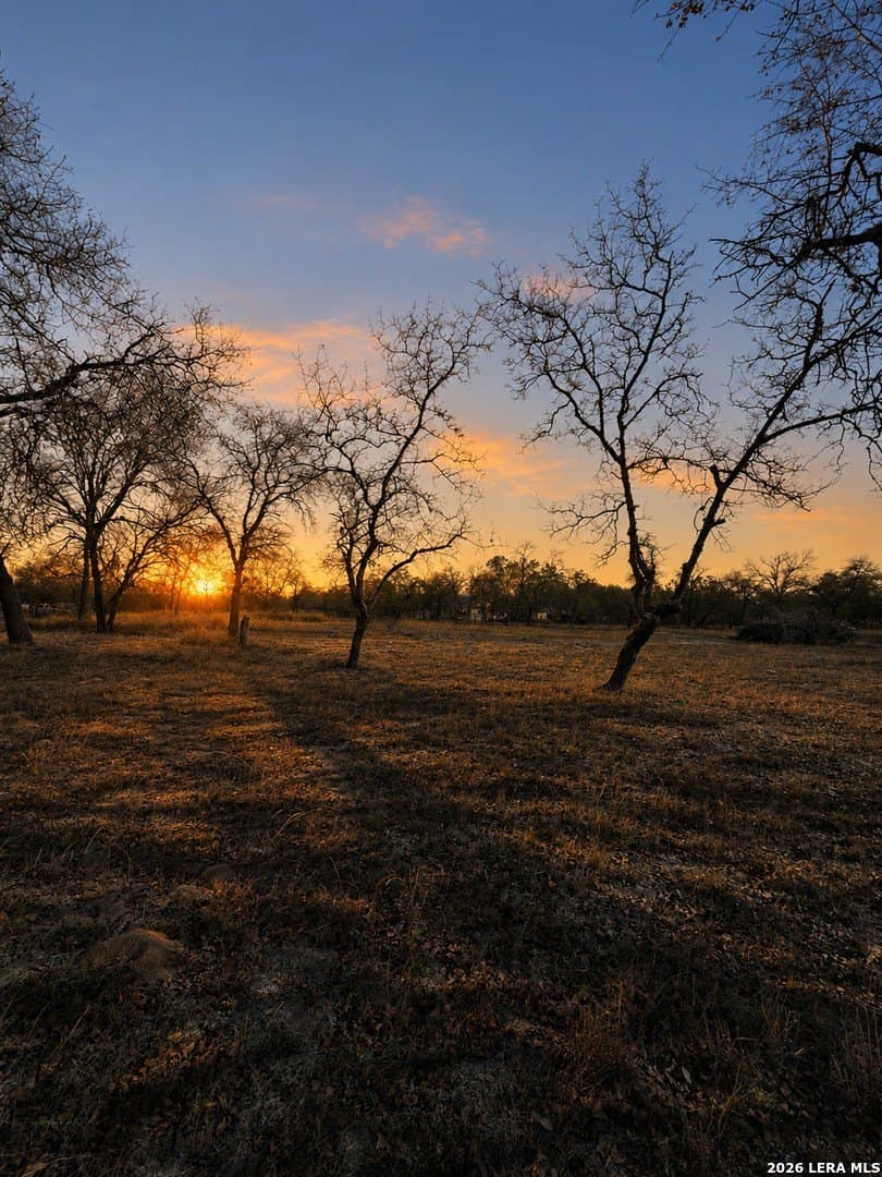 2.25 acres in Atascosa County gallery image 2