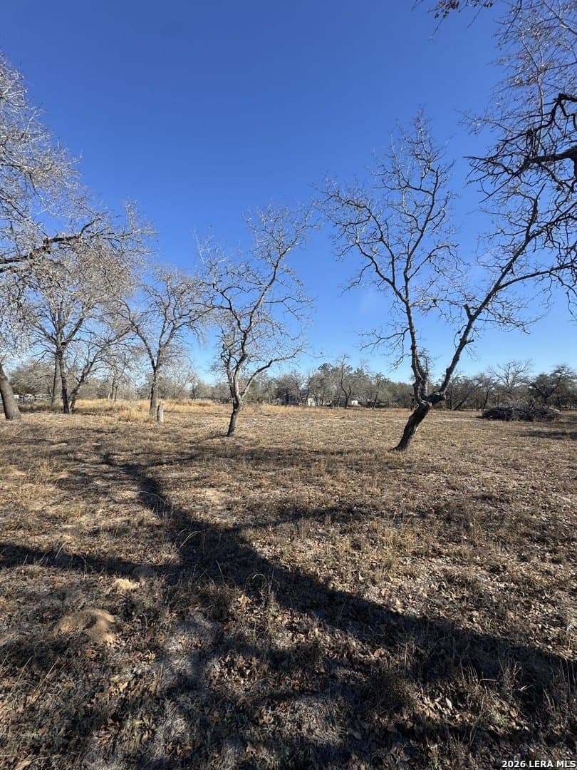 2.25 acres in Atascosa County featured view