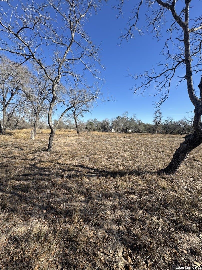 2.25 acres in Atascosa County gallery image 4
