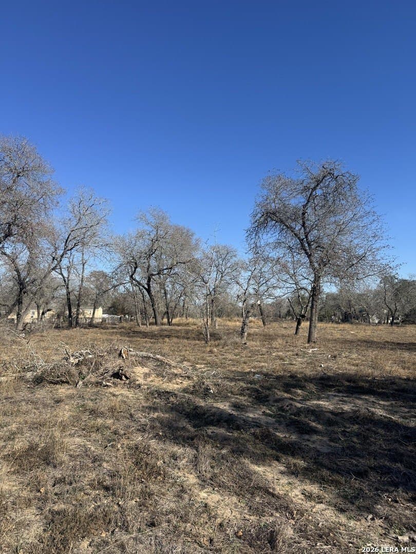 2.25 acres in Atascosa County gallery image 3