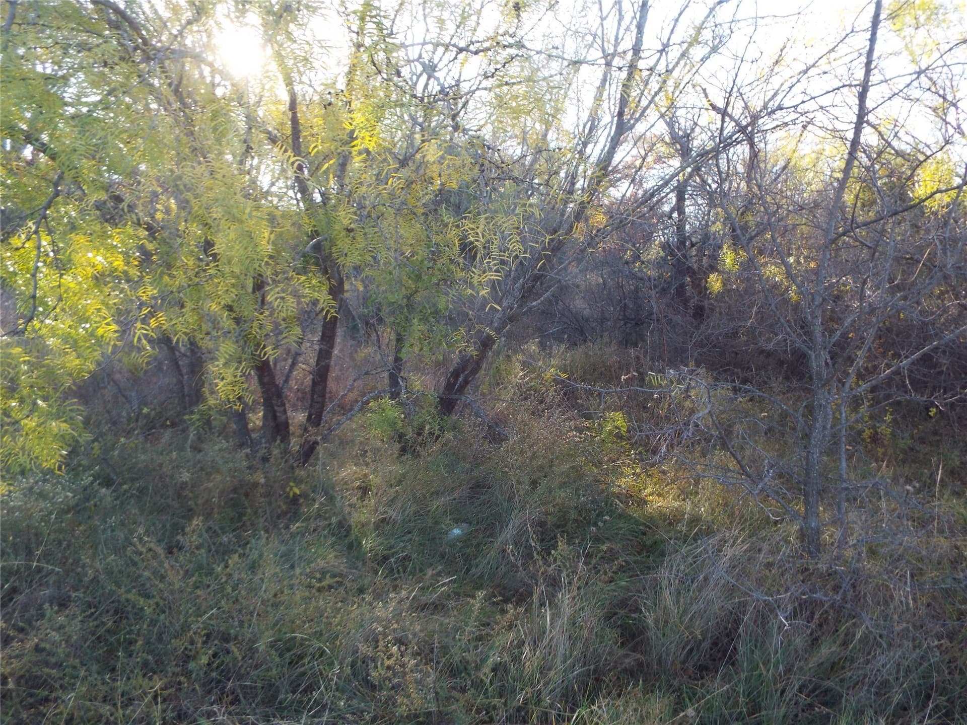 0.23 acres in Brown County gallery image 2