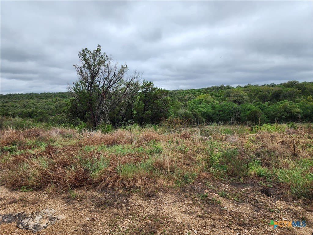 14.36 acres in Hays County gallery image 3