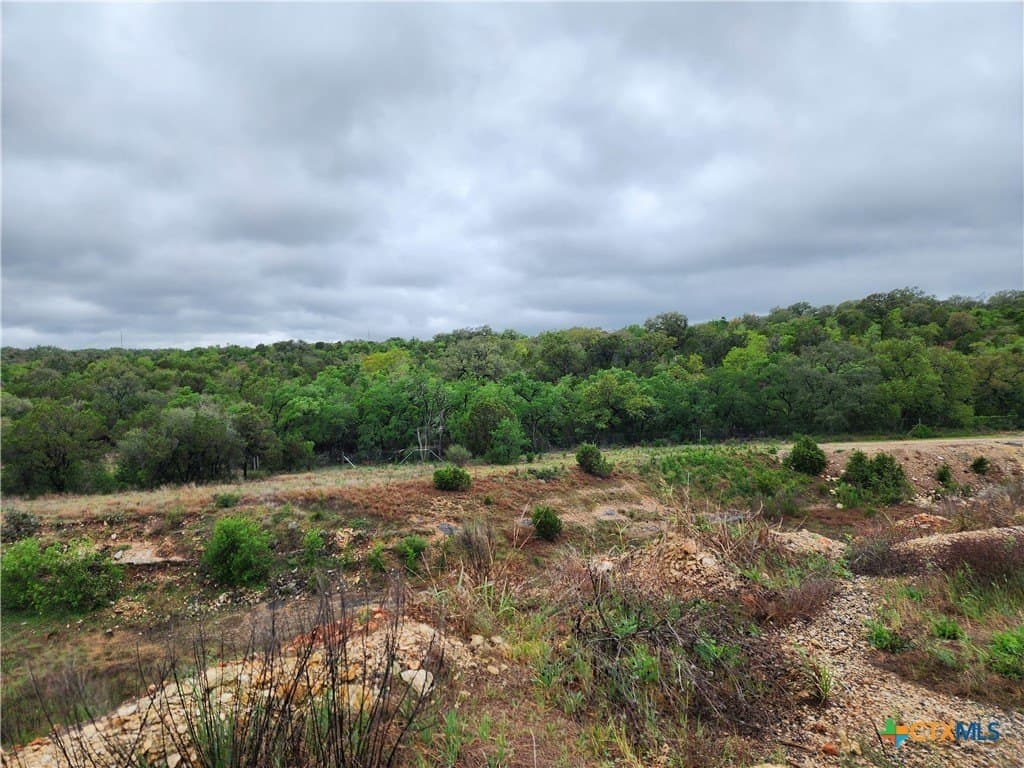 14.36 acres in Hays County gallery image 4