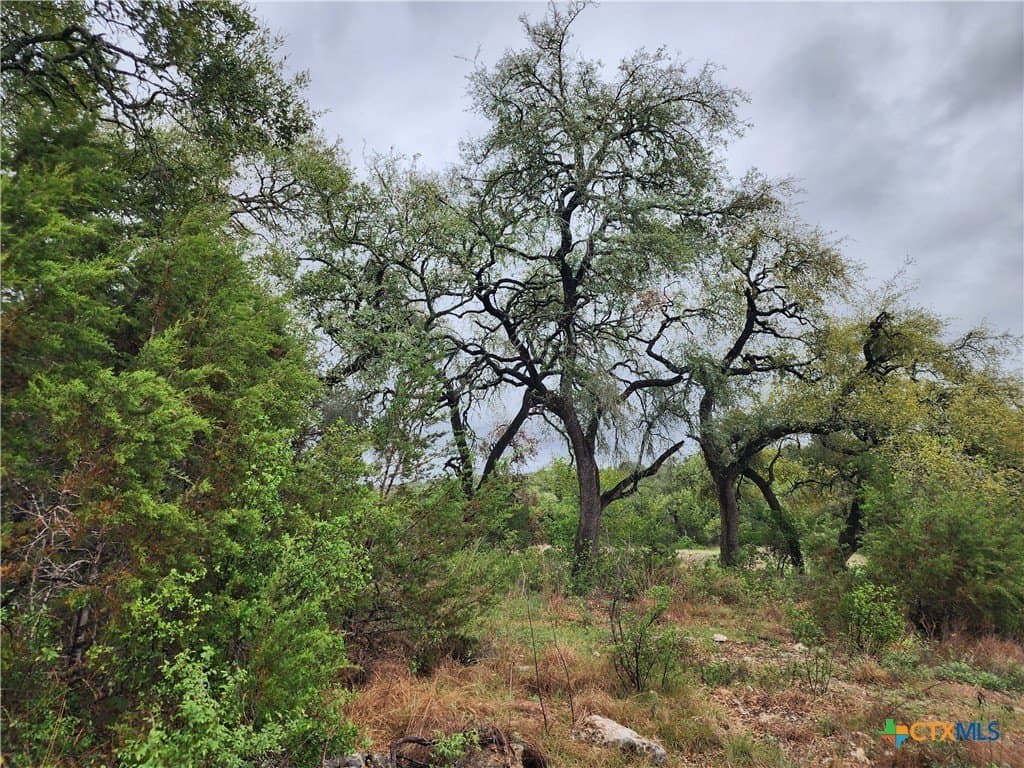 14.36 acres in Hays County featured view