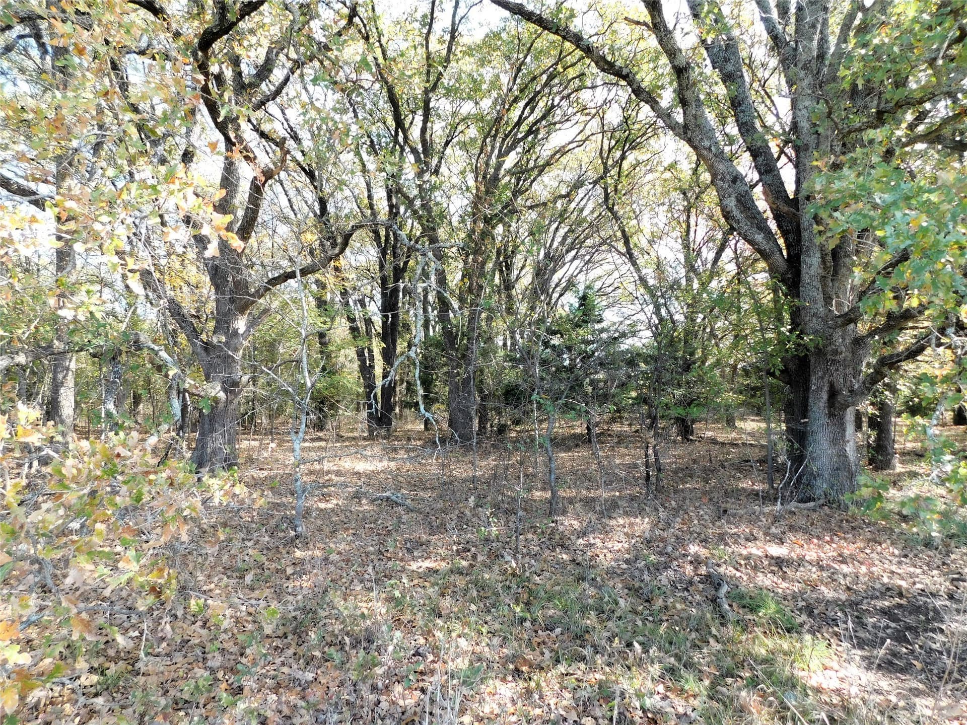 35 acres in Hunt County - photo 10