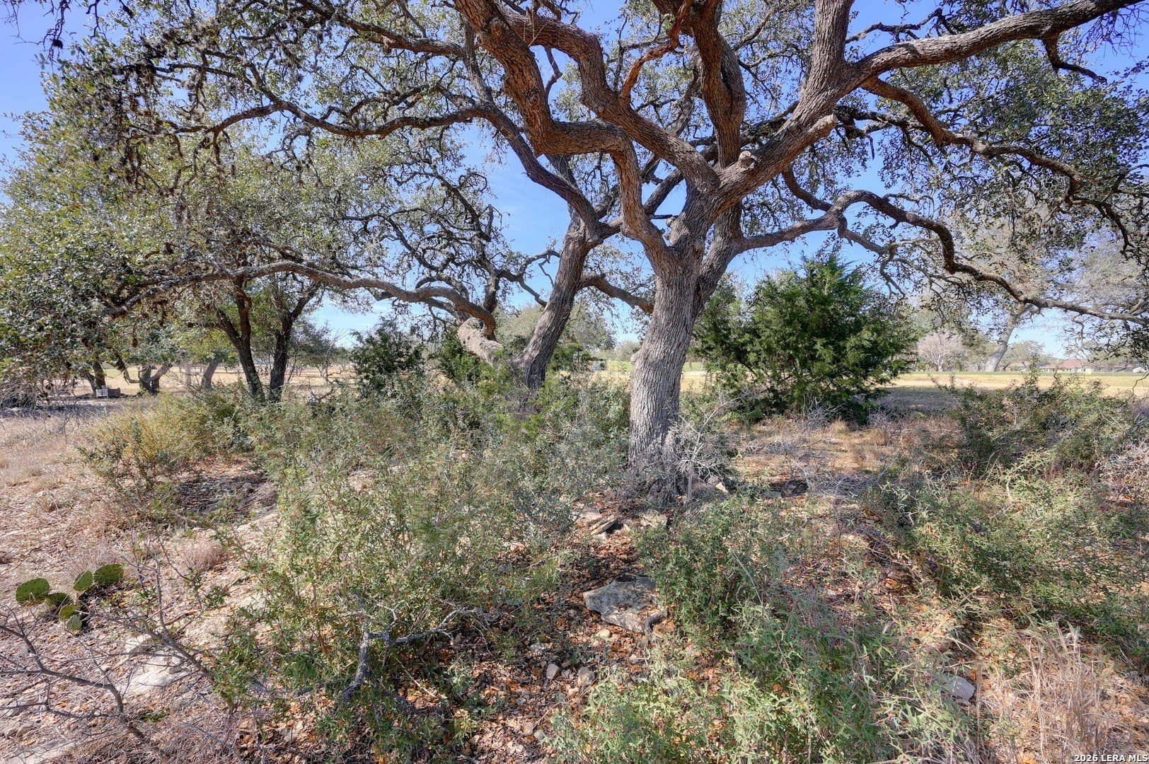 0.28 acres in Blanco County - photo 17
