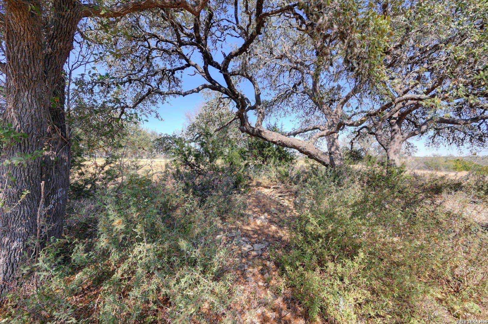 0.28 acres in Blanco County - photo 26