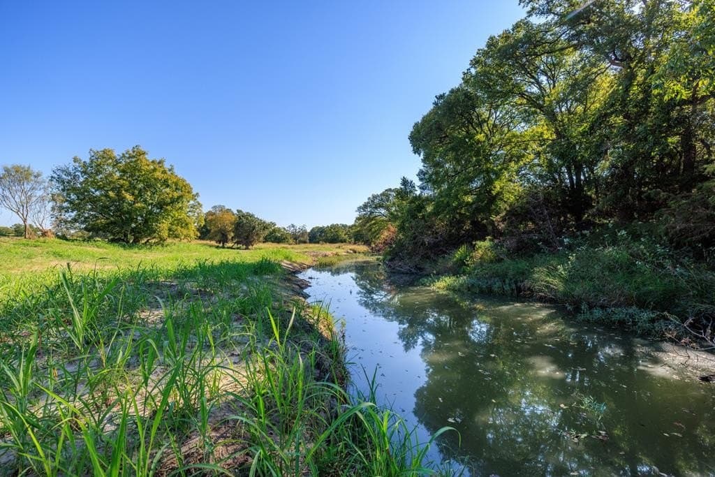 129.8 acres in Gillespie County - photo 60