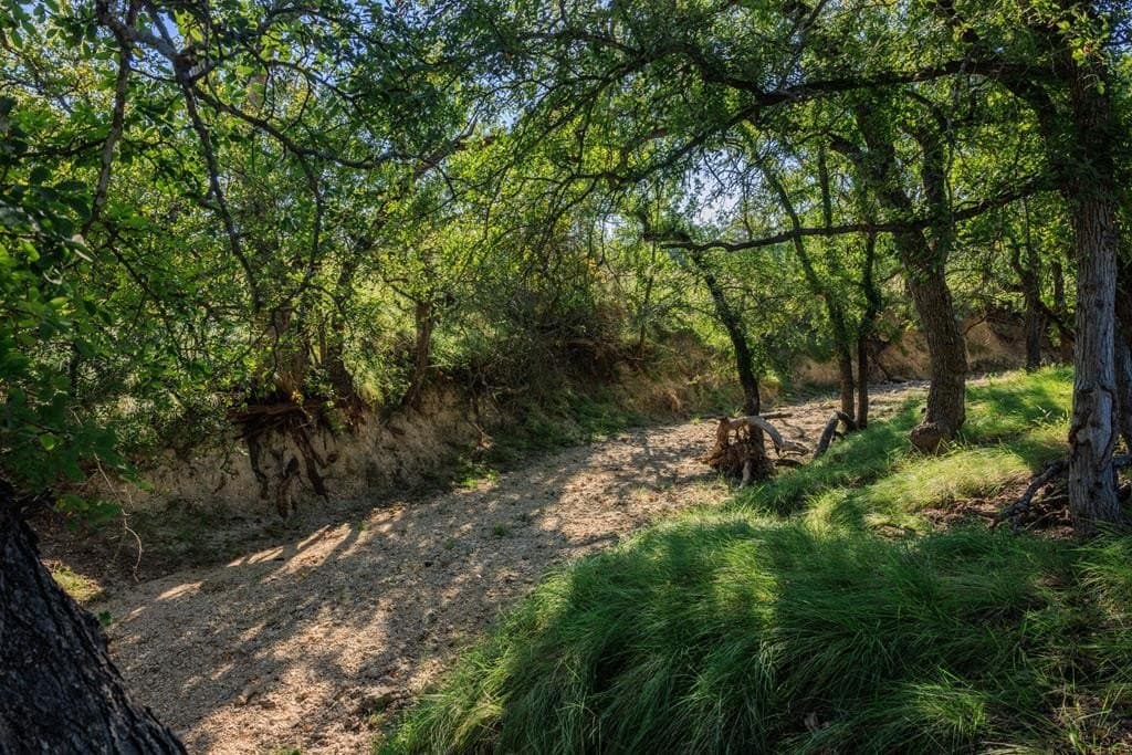 129.8 acres in Gillespie County - photo 66
