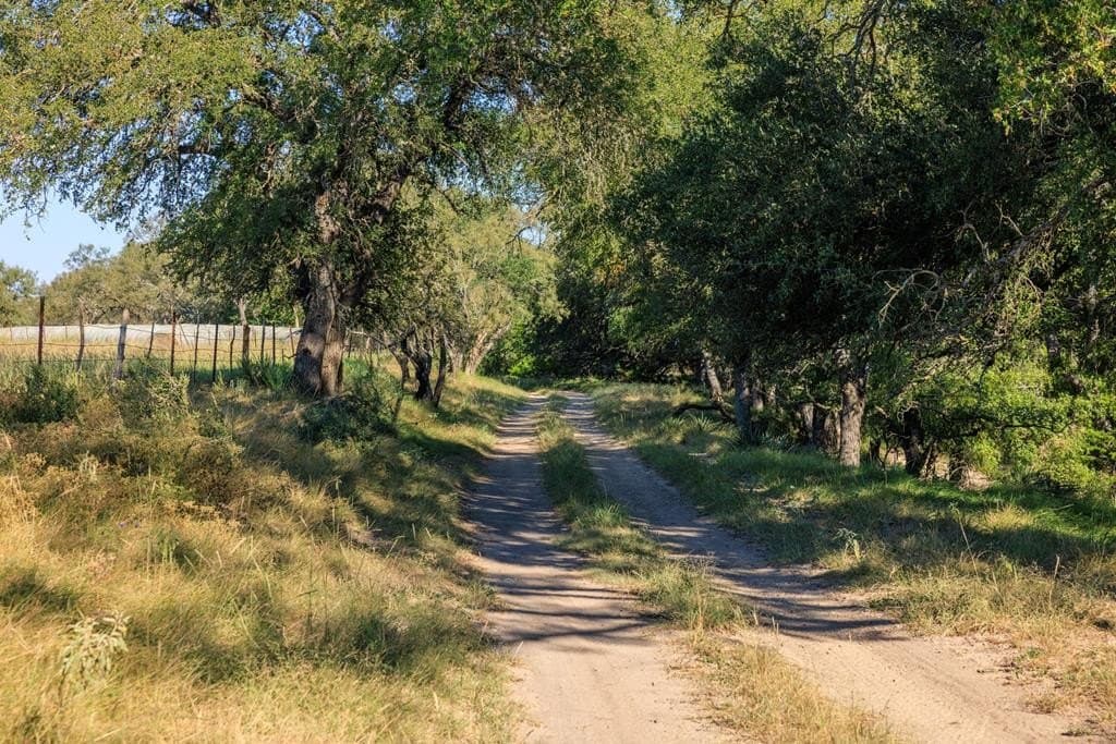129.8 acres in Gillespie County - photo 65