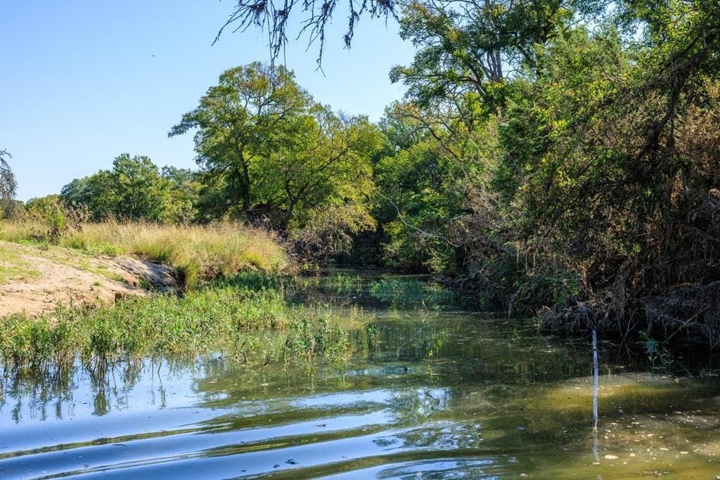 129.8 acres in Gillespie County - photo 62