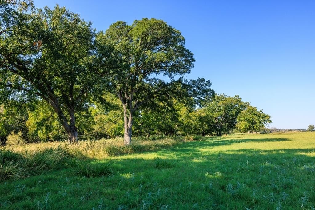 129.8 acres in Gillespie County - photo 74