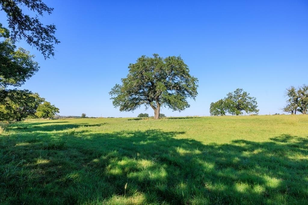 129.8 acres in Gillespie County - photo 69