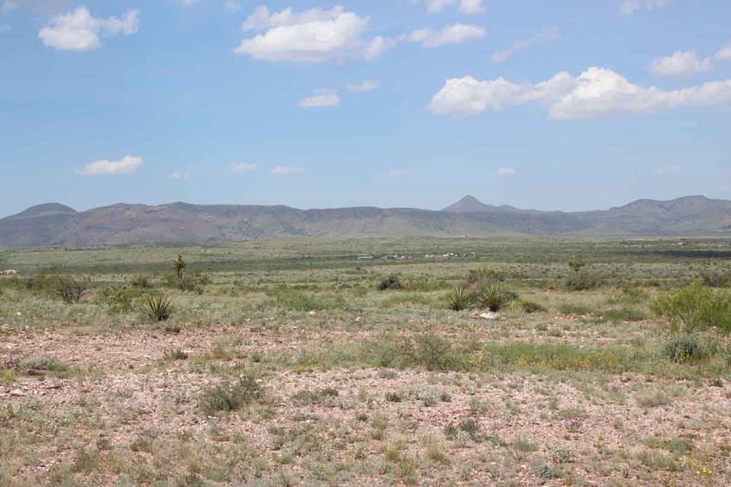 55.63 acres in Brewster County - photo 7