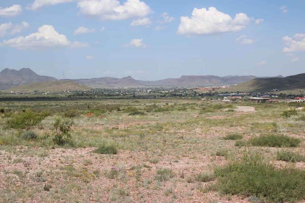 55.63 acres in Brewster County - photo 6