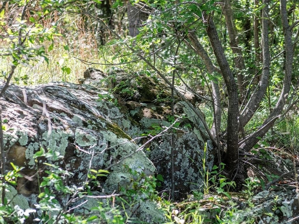 1.06 acres in Wise County gallery image 4