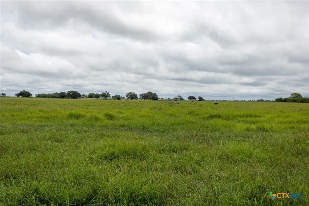 17.34 acres in Goliad County - photo 7