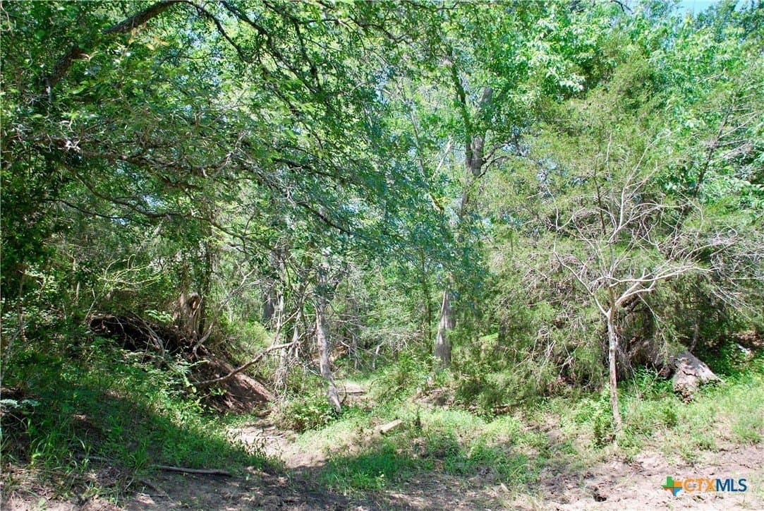 15.11 acres in Fayette County - photo 14