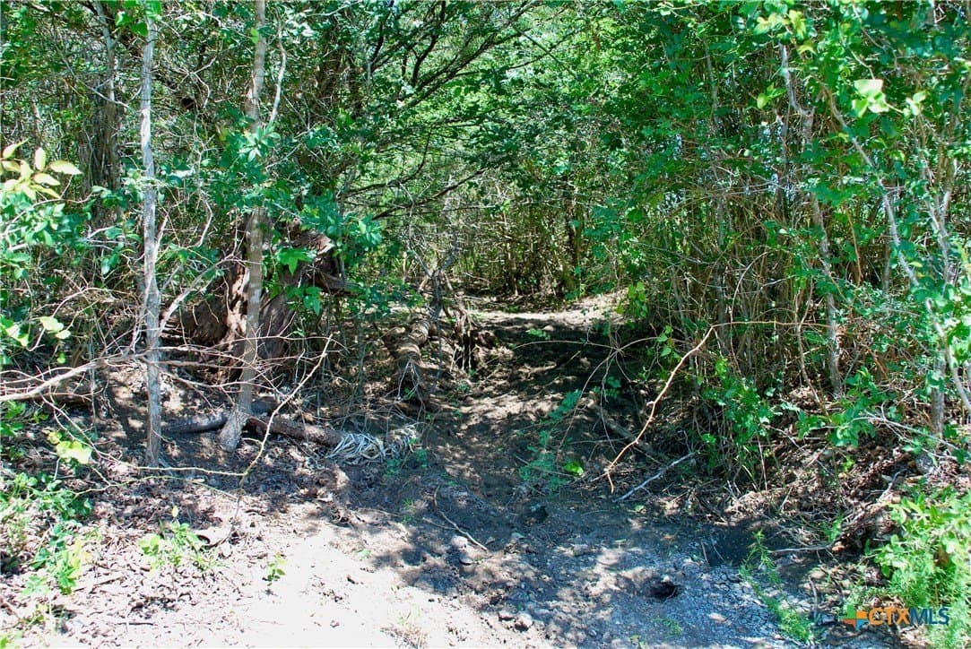 15.11 acres in Fayette County - photo 11