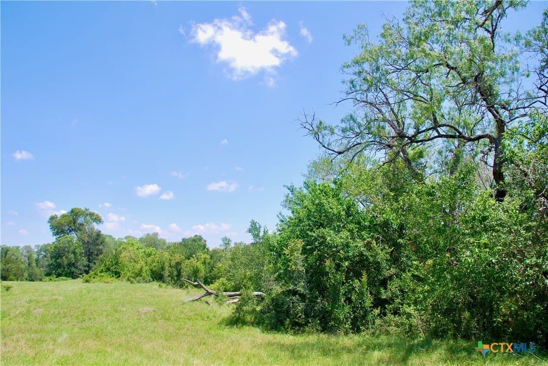 15.11 acres in Fayette County - photo 16