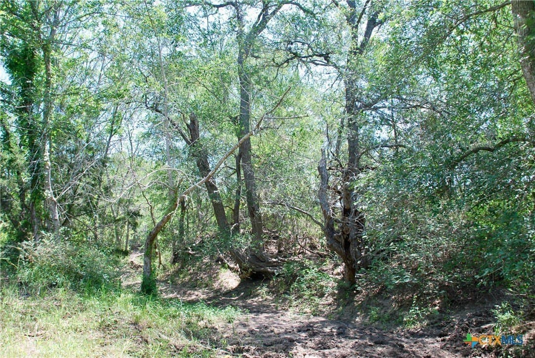 15.11 acres in Fayette County - photo 13