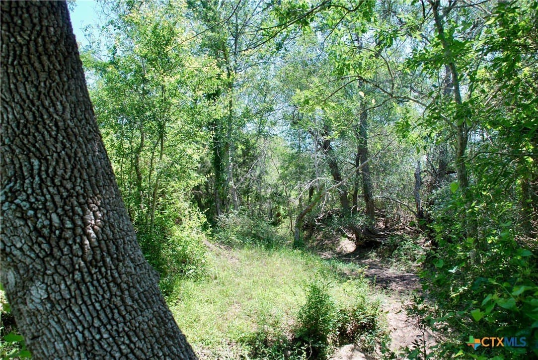 15.11 acres in Fayette County - photo 12
