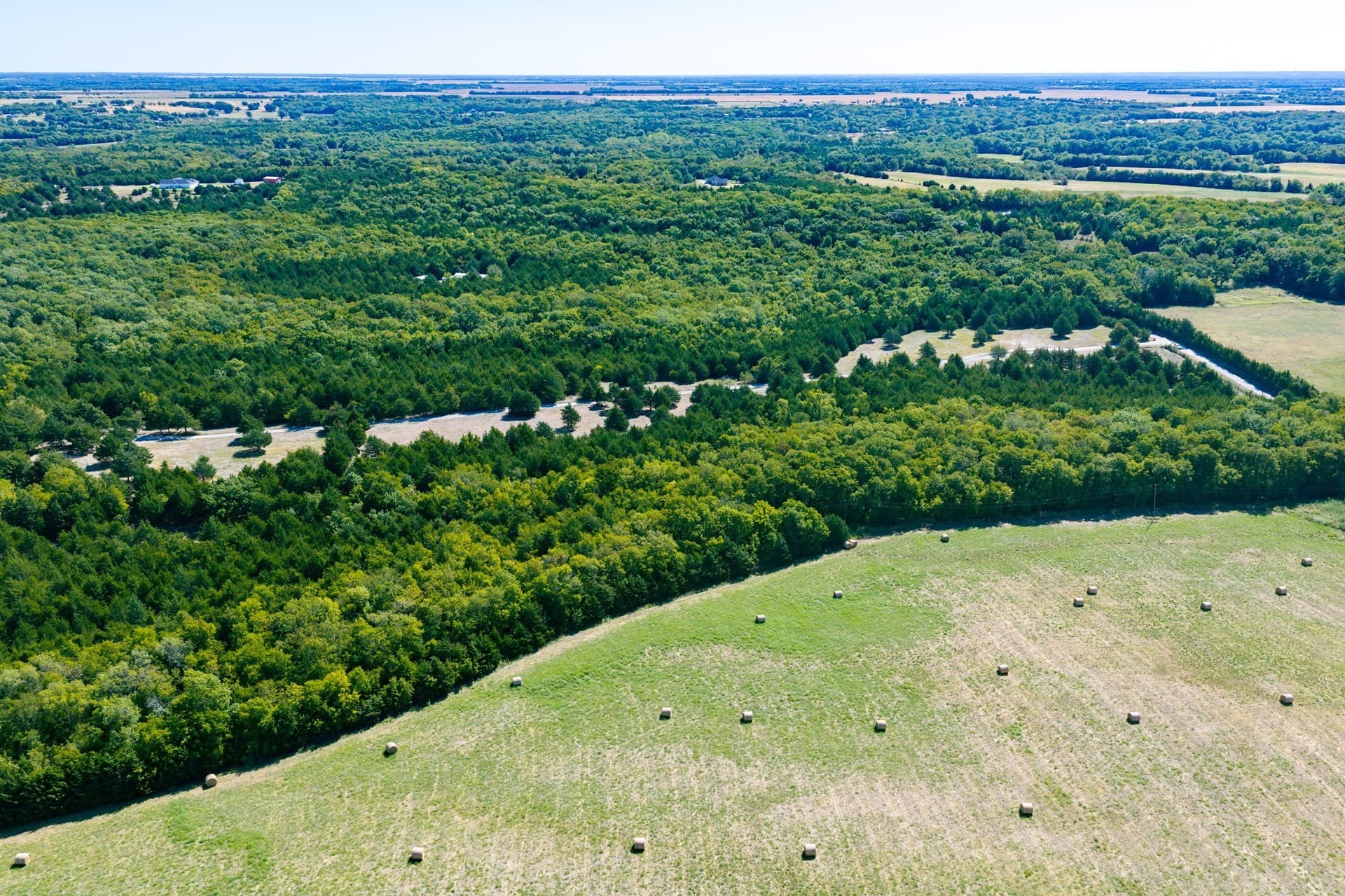 10.69 acres in Fannin County - photo 5