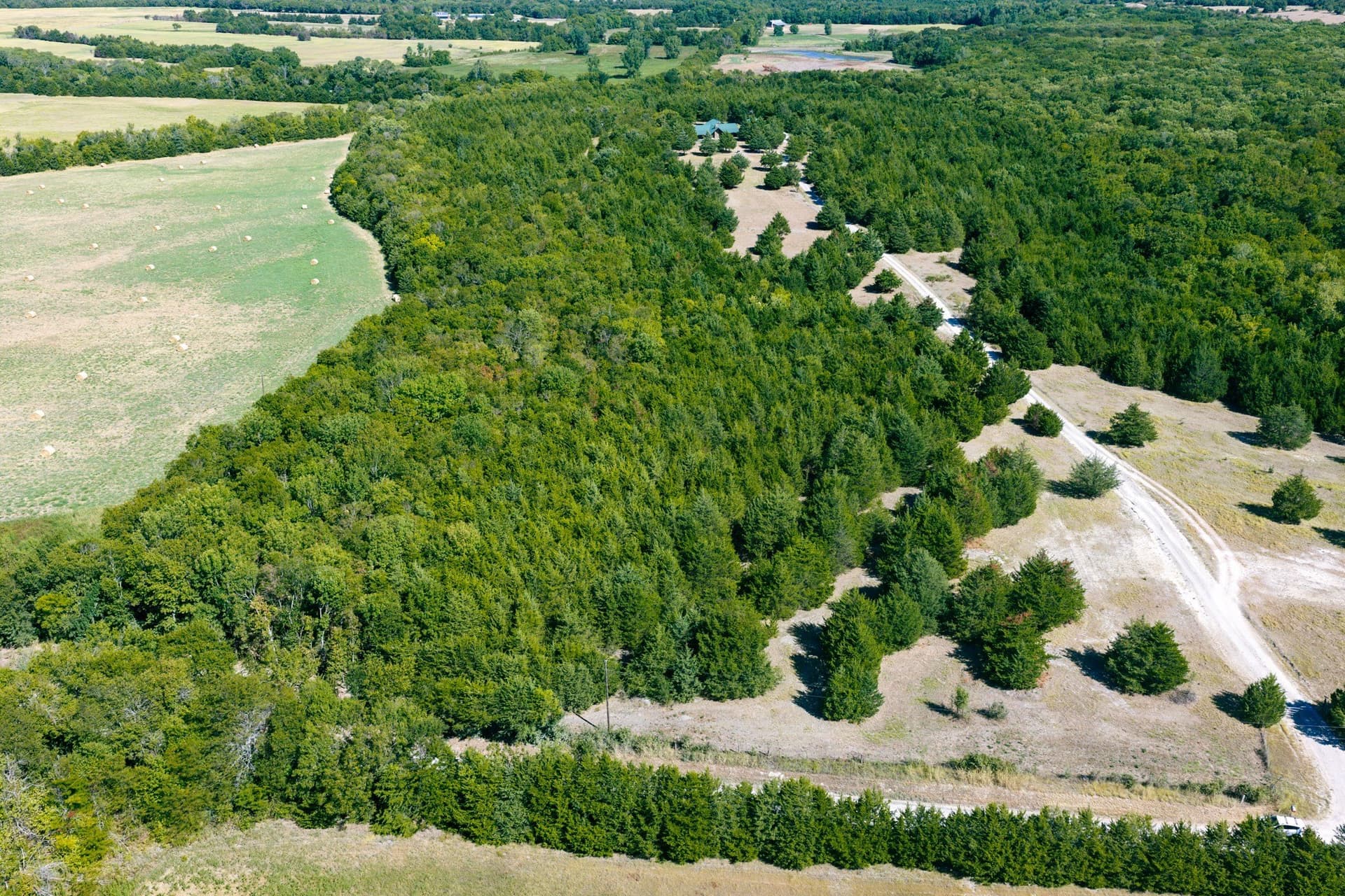 10.69 acres in Fannin County - photo 7
