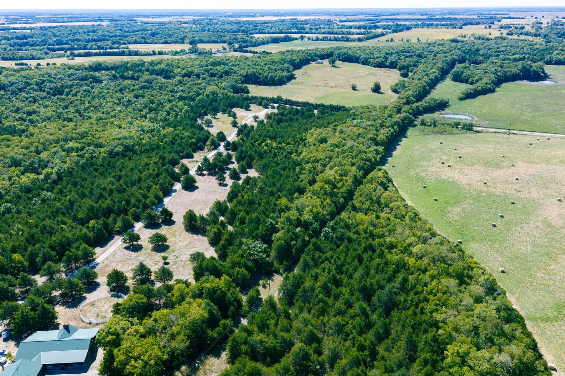 10.69 acres in Fannin County - photo 4