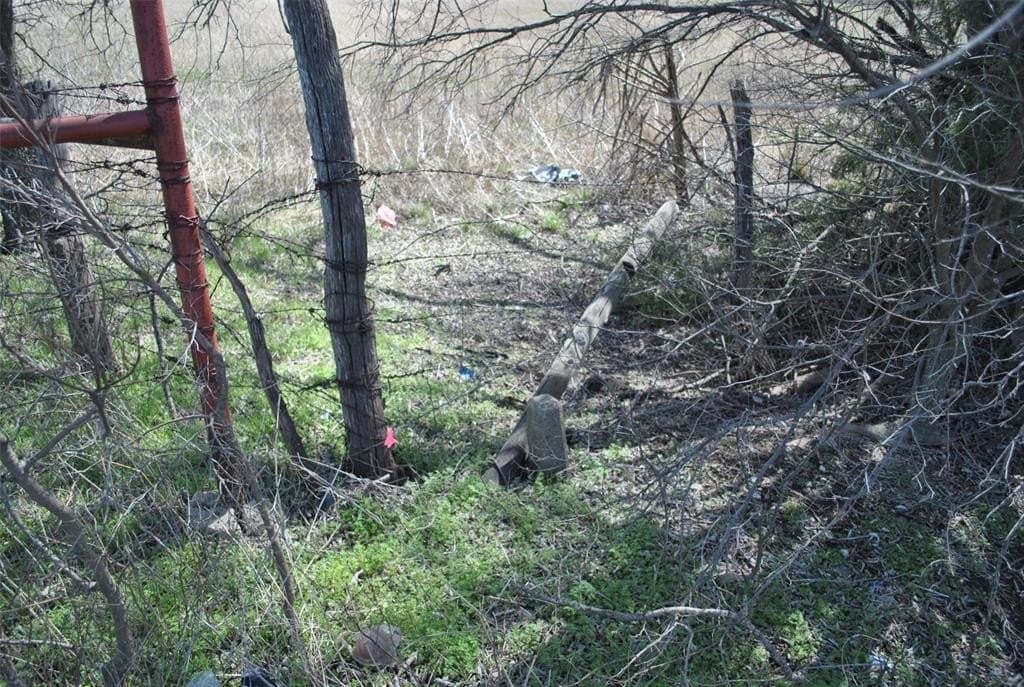 29.29 acres in Cooke County gallery image 2