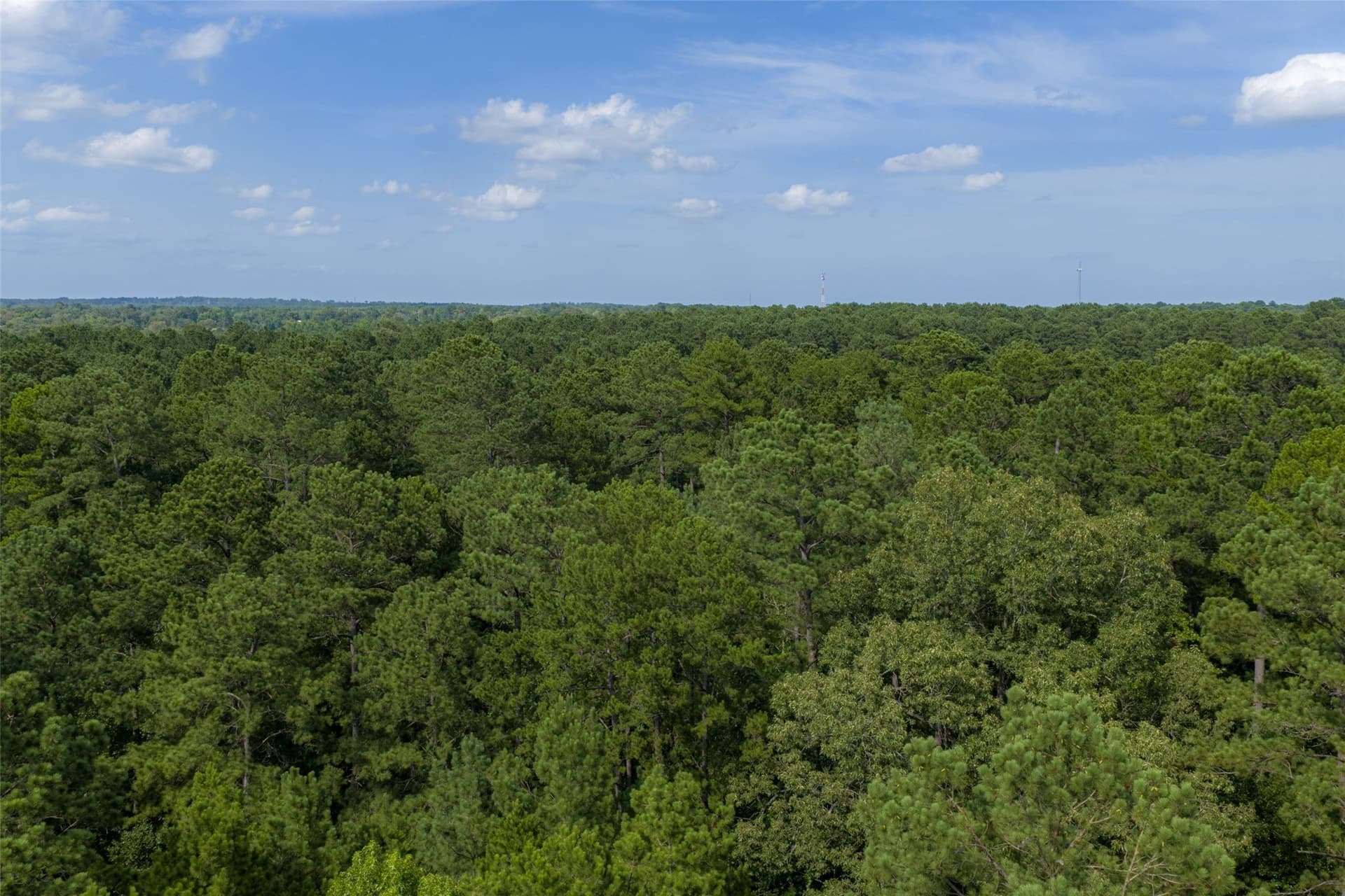63.52 acres in Rusk County - photo 32