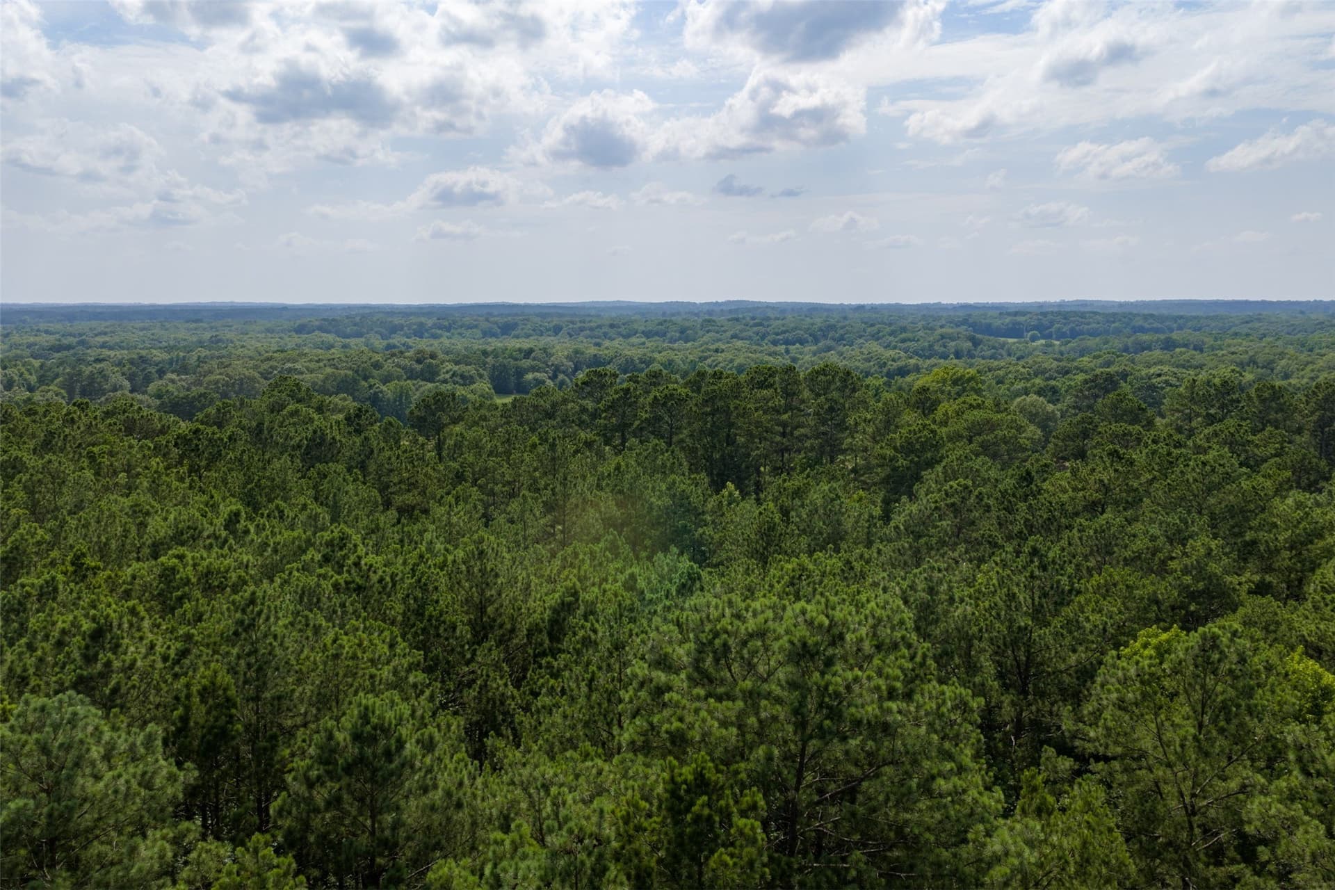 63.52 acres in Rusk County - photo 35