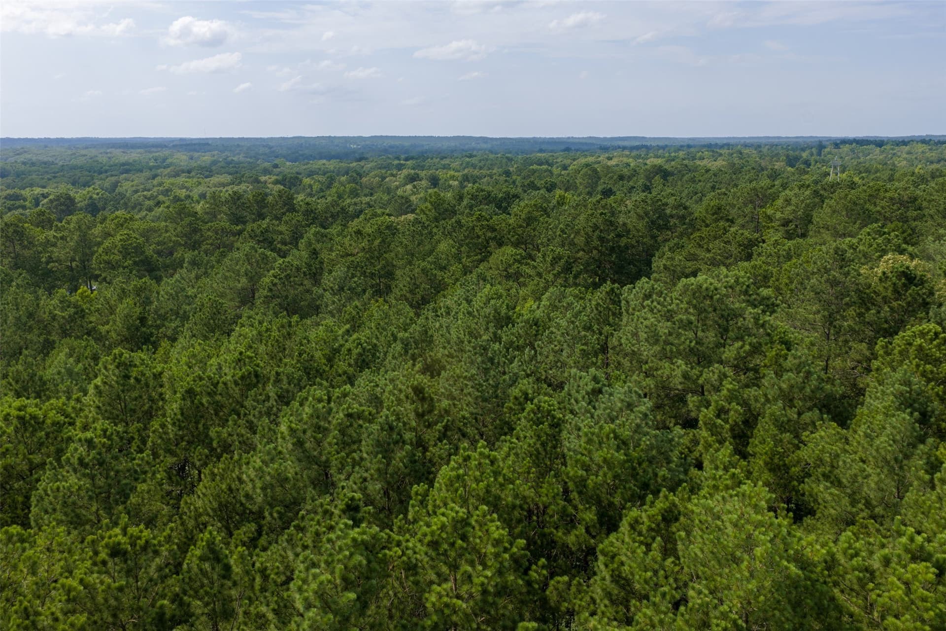 63.52 acres in Rusk County - photo 31