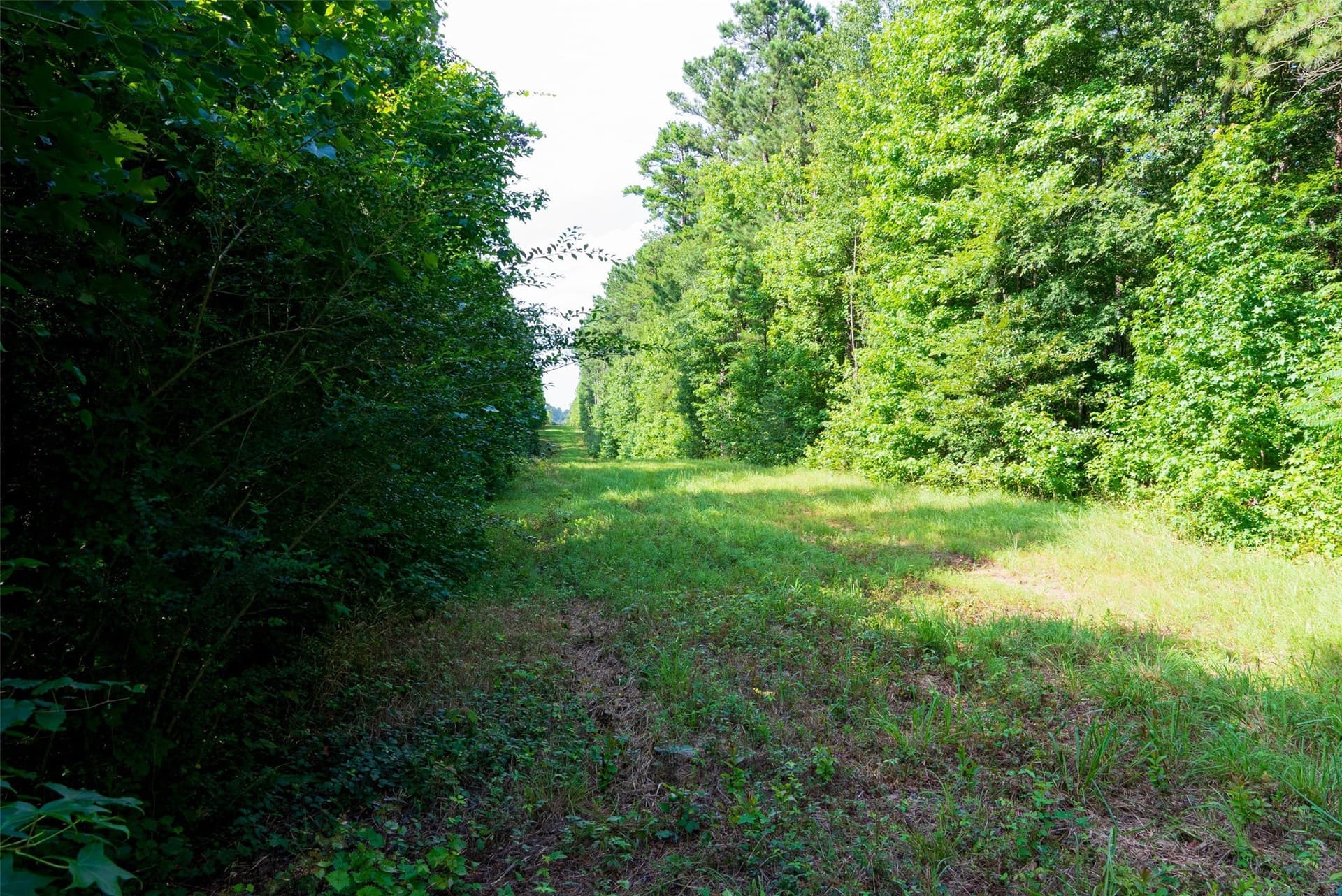 63.52 acres in Rusk County - photo 34