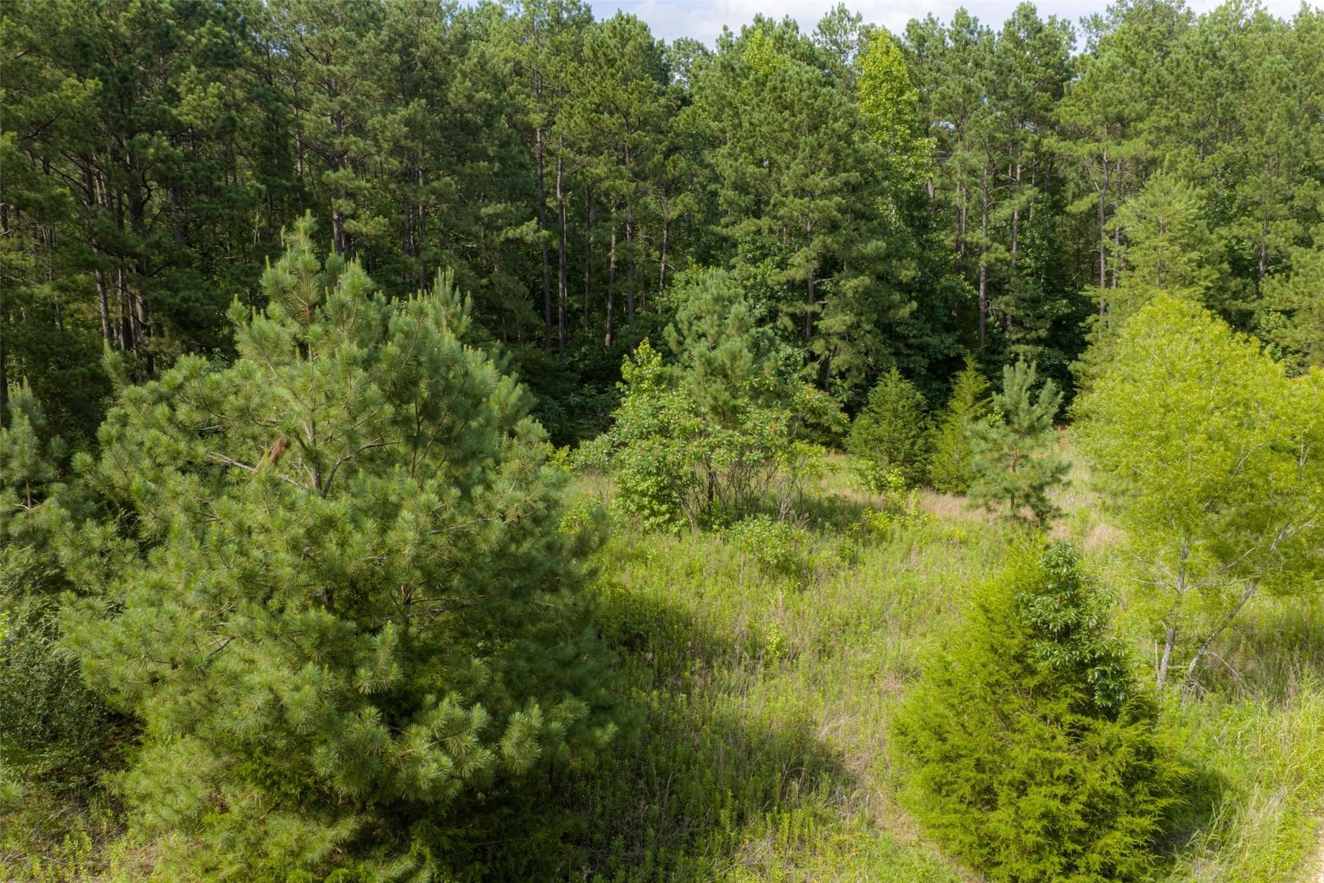 63.52 acres in Rusk County - photo 6