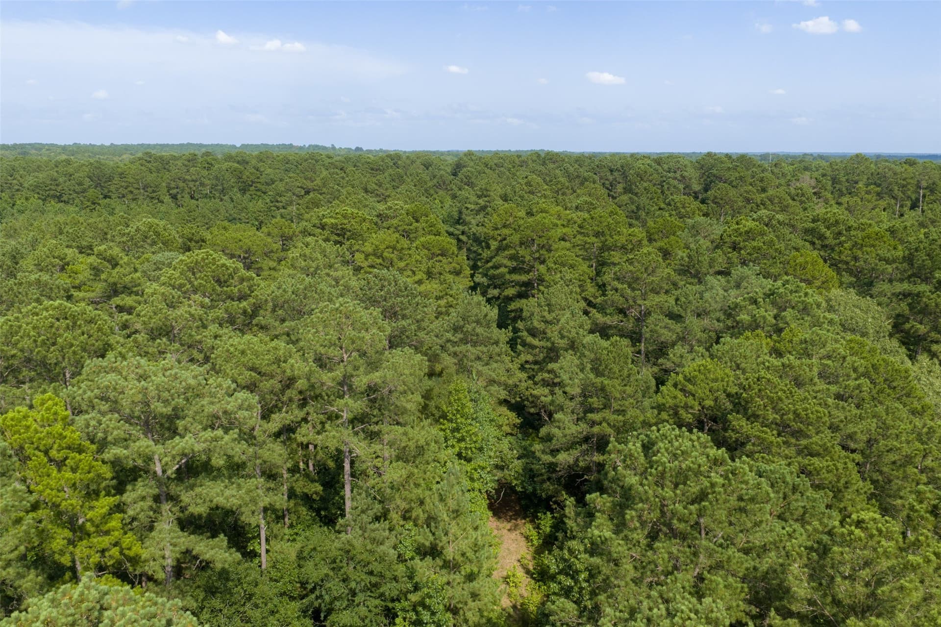 63.52 acres in Rusk County - photo 23