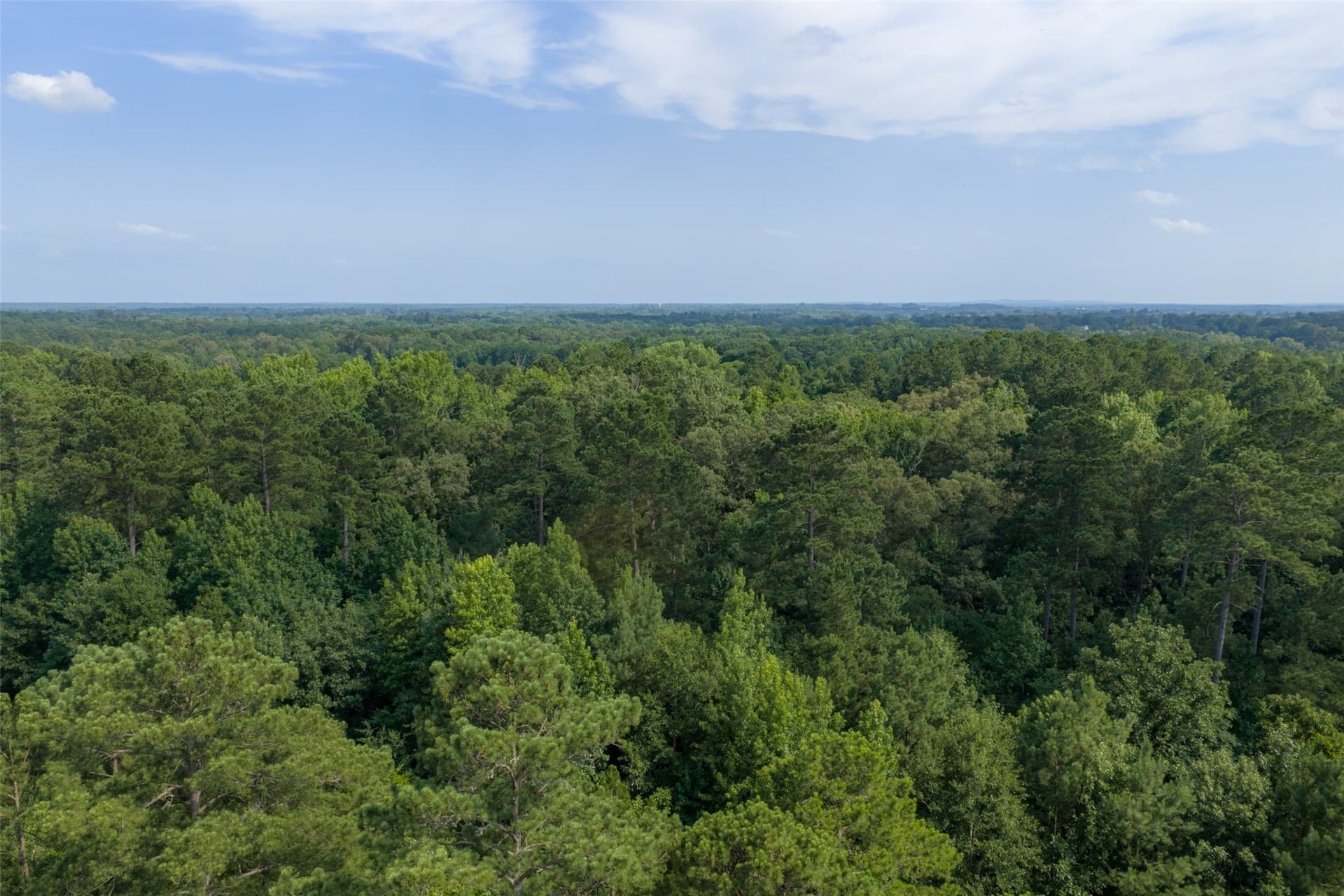 63.52 acres in Rusk County - photo 9