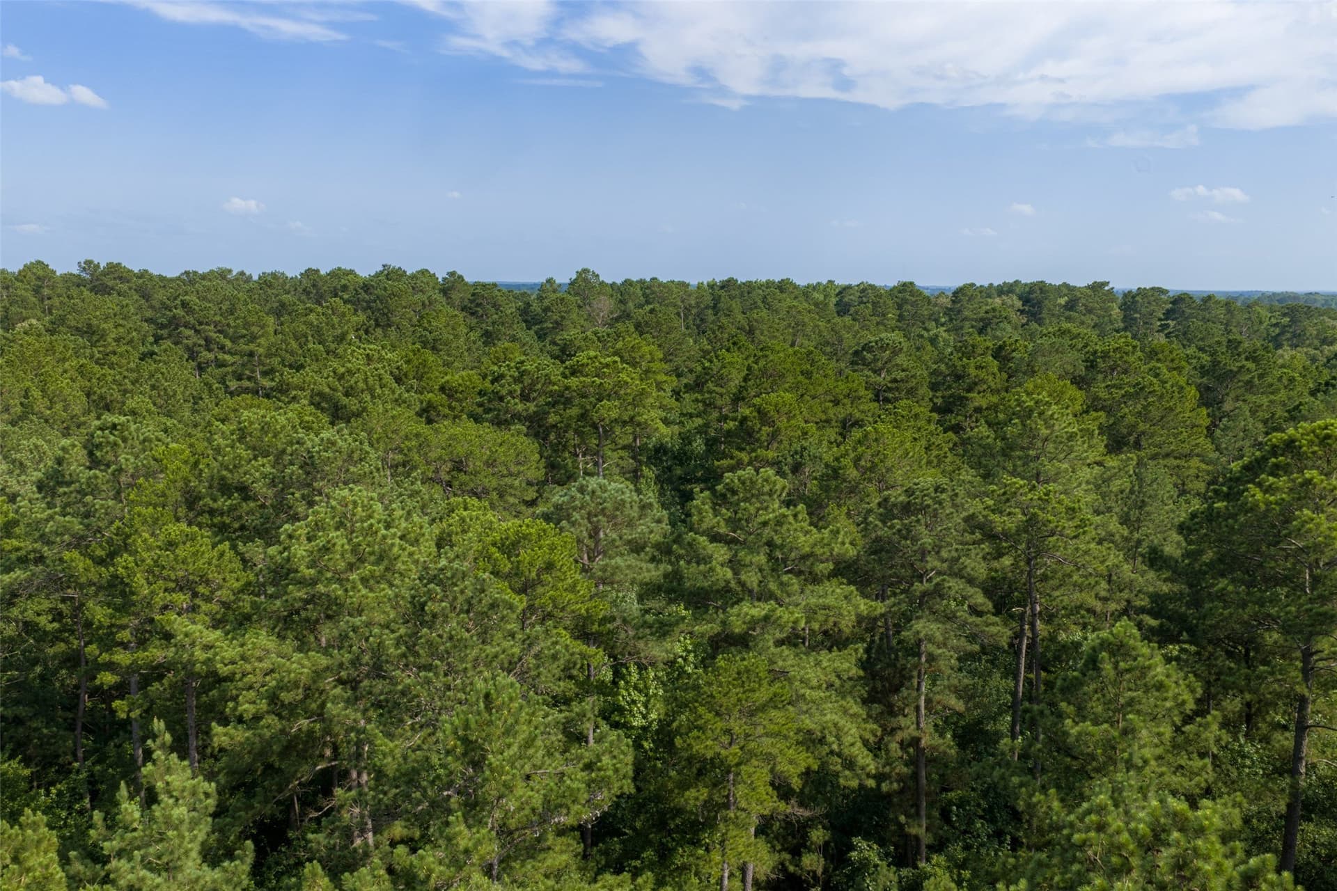 63.52 acres in Rusk County - photo 21