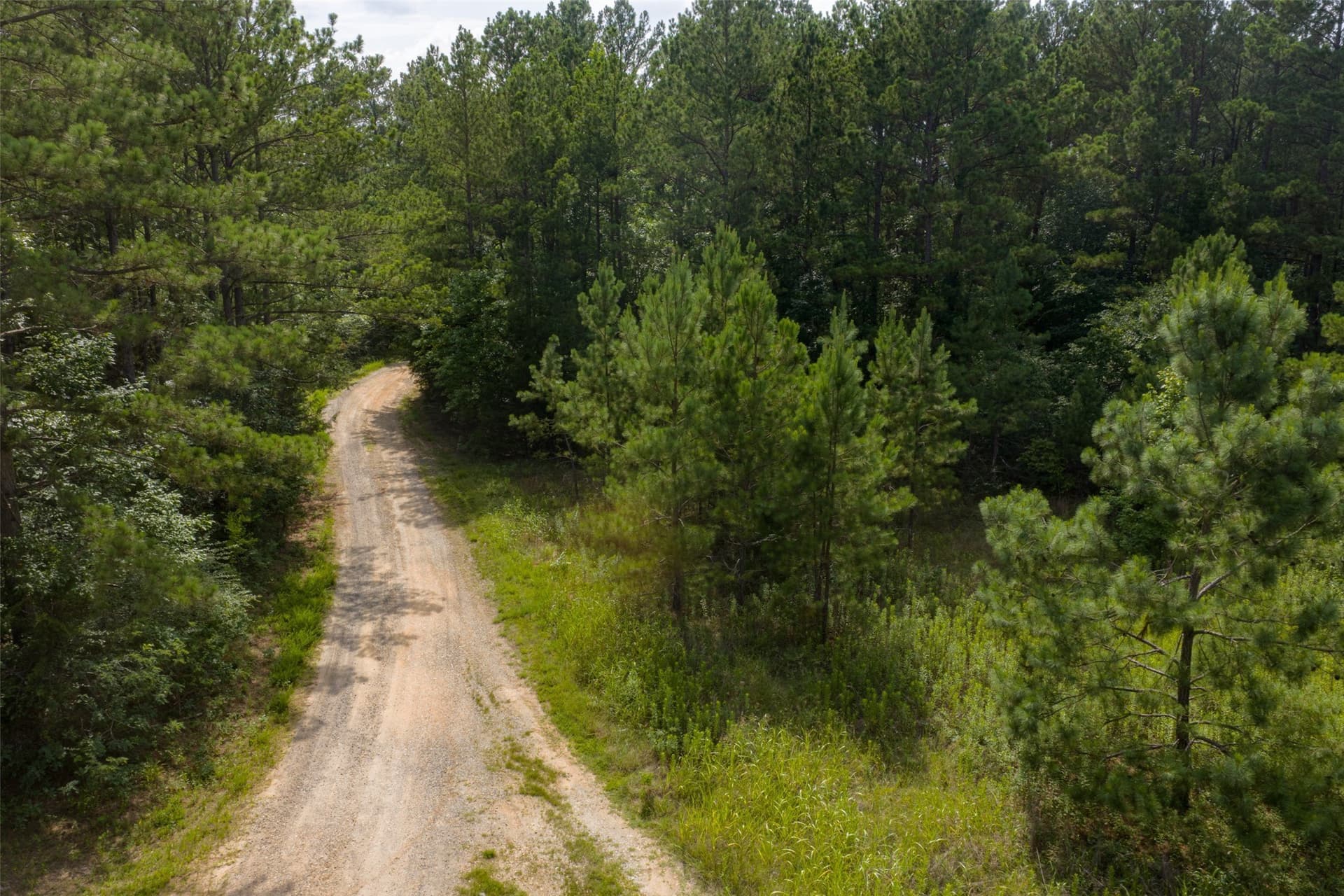 63.52 acres in Rusk County - photo 27