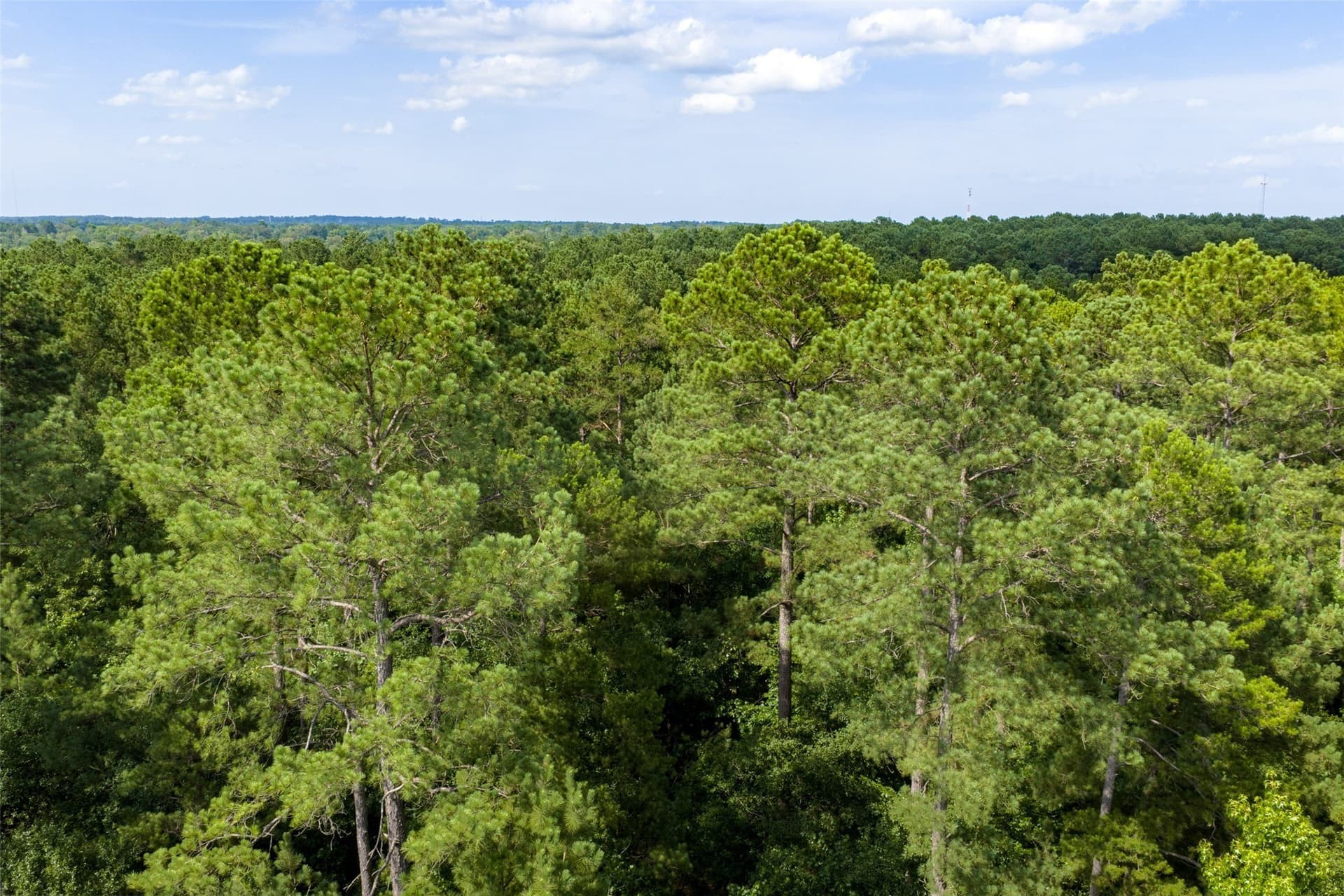 63.52 acres in Rusk County - photo 25