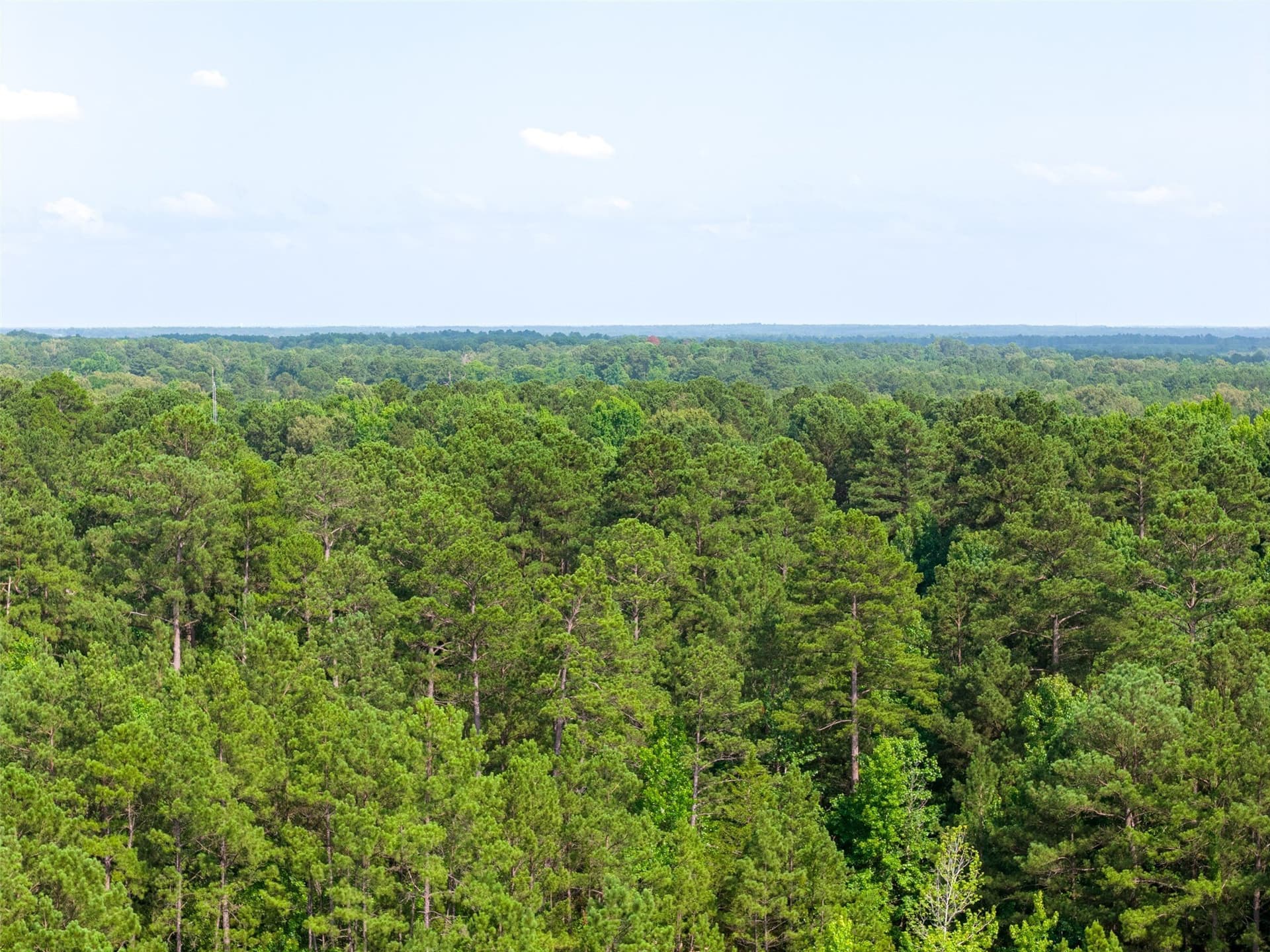 63.52 acres in Rusk County - photo 37