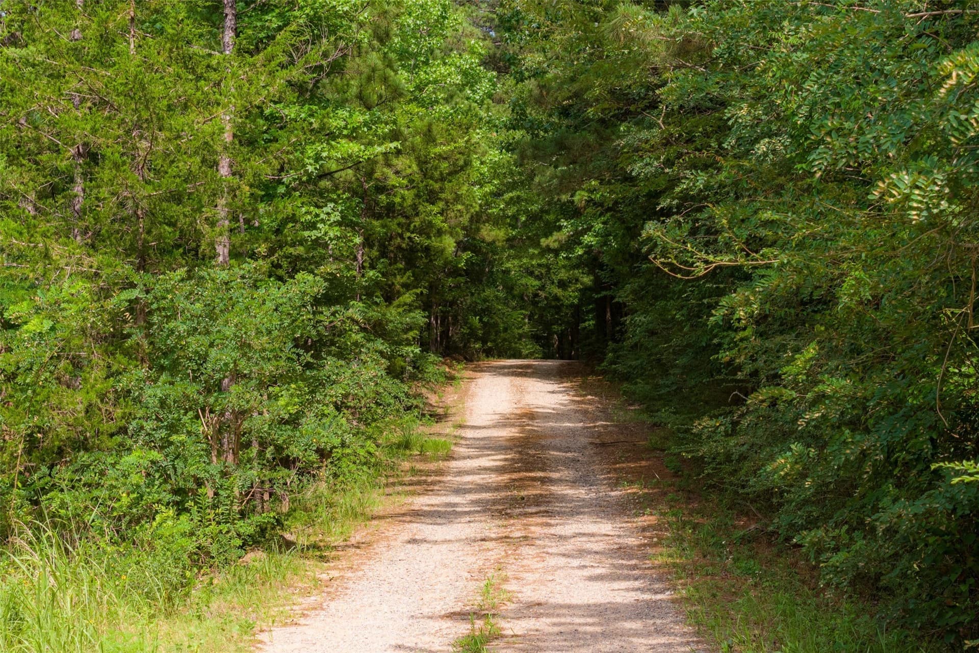 63.52 acres in Rusk County - photo 18