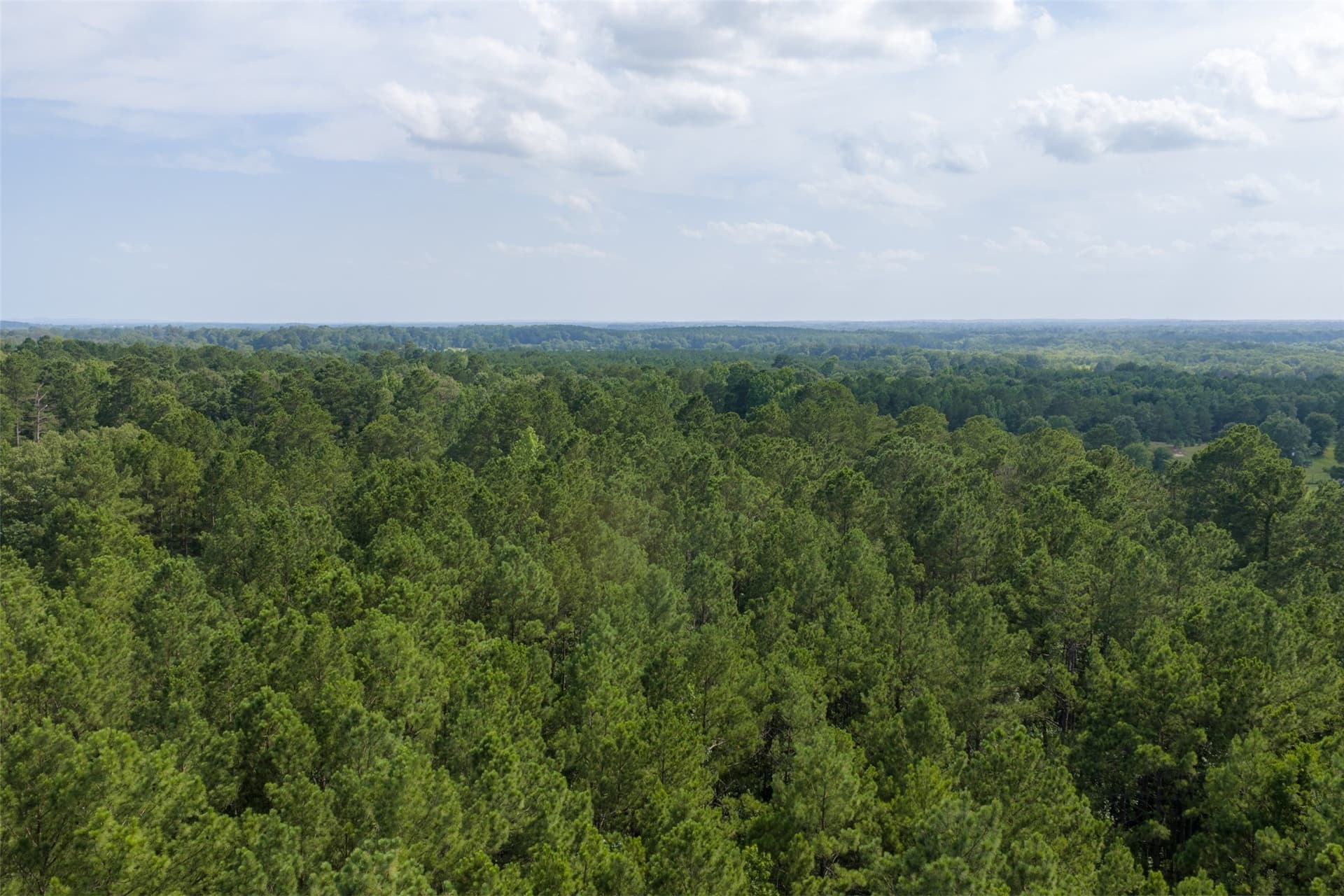 63.52 acres in Rusk County - photo 14