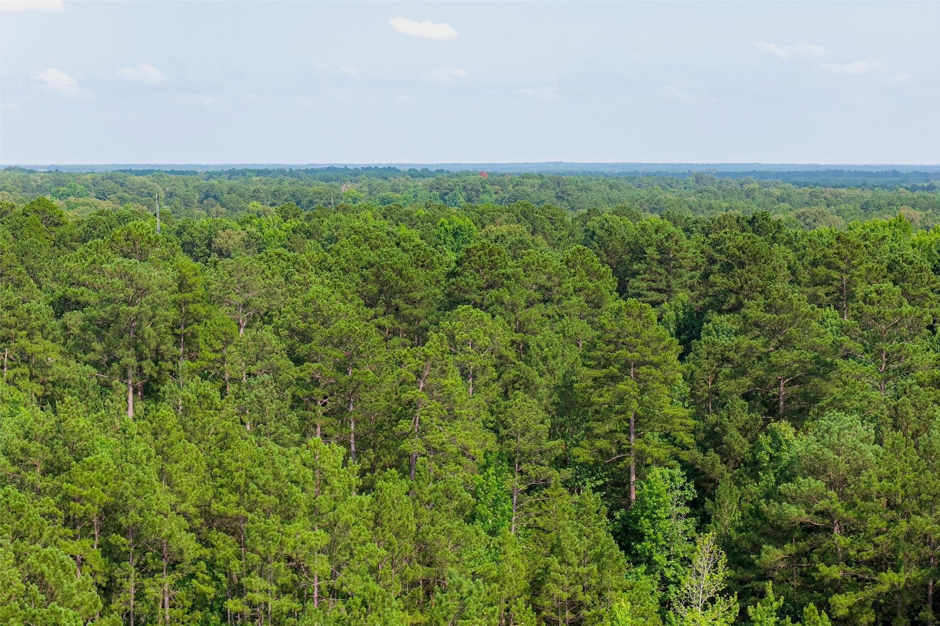 63.52 acres in Rusk County - photo 13