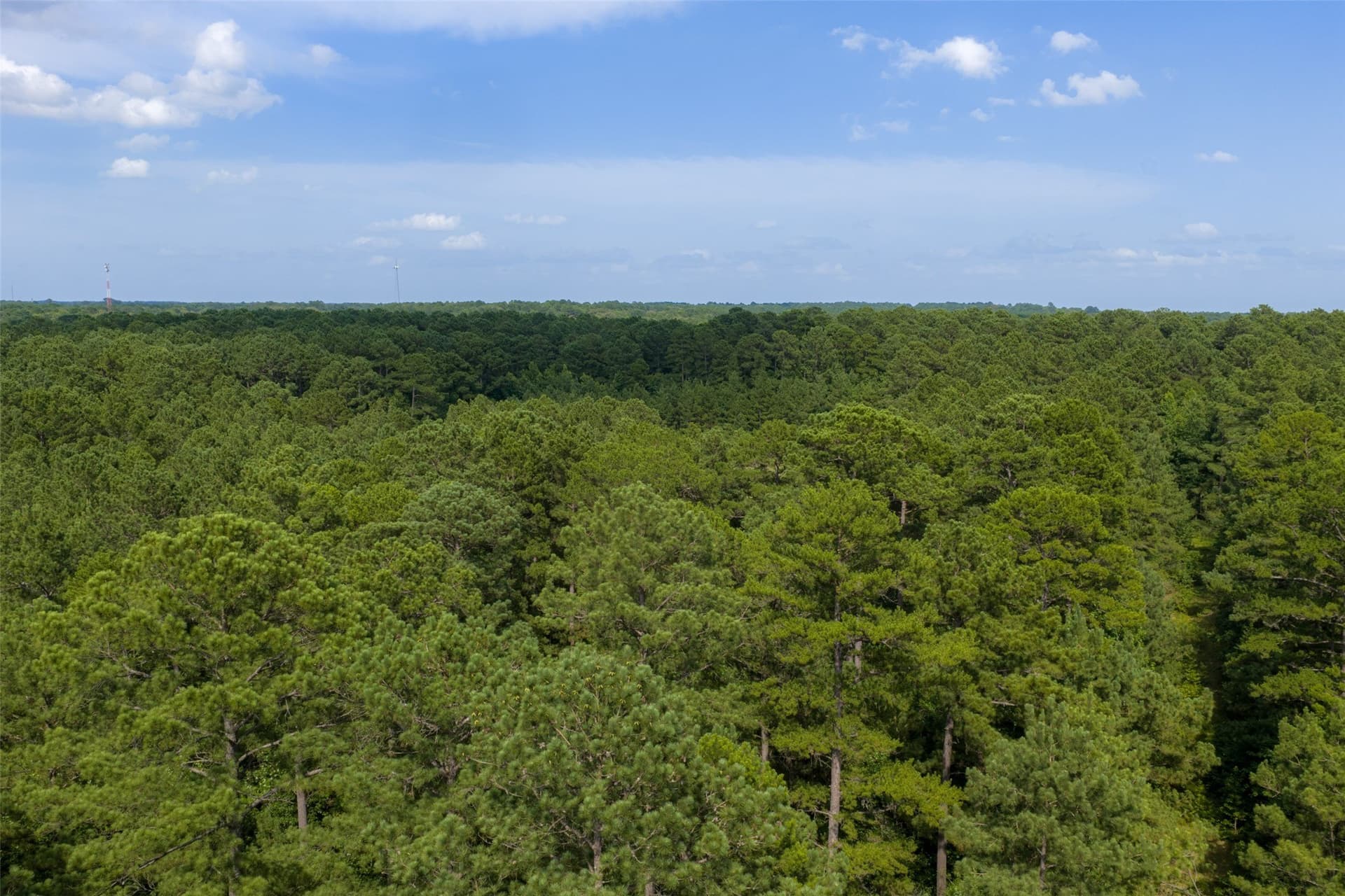 63.52 acres in Rusk County - photo 15